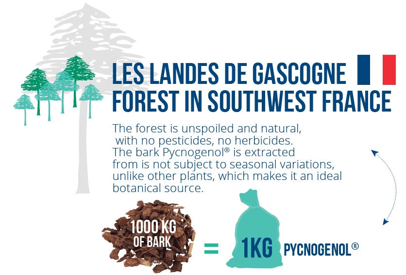 Pycnogenol