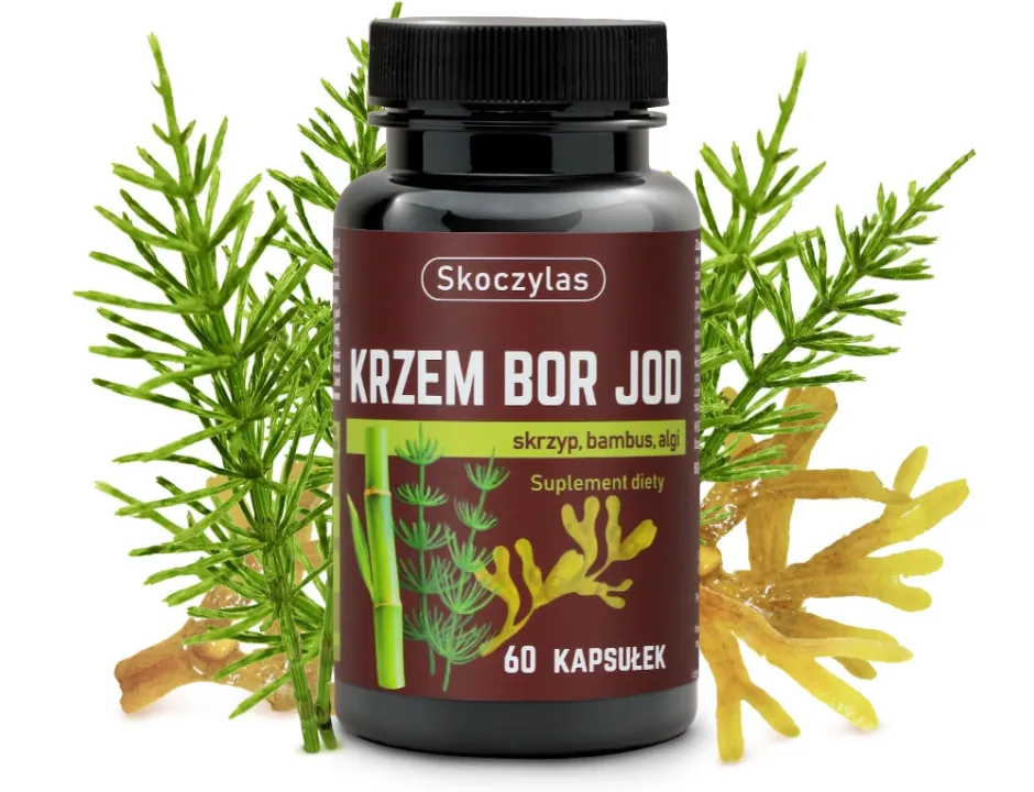 KRZEM BOR JOD skrzyp, bambus, algi