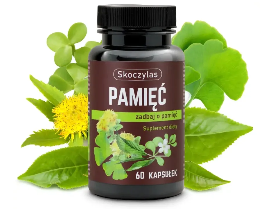 PAMIĘĆ miłorząb, bakopa, ginkgo biloba, różeniec