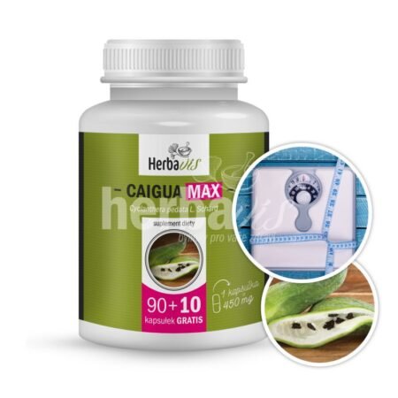 Caigua MAX