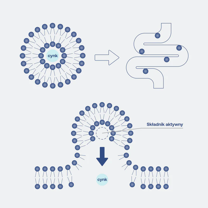 LIPOCAPS glutation - obrazek 5