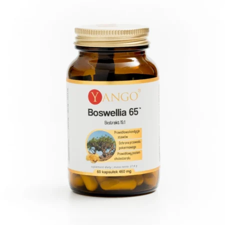 Boswellia 65™ - 60 kaps.