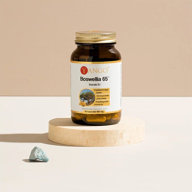 Boswellia 65™ - 60 kaps. - obrazek 2