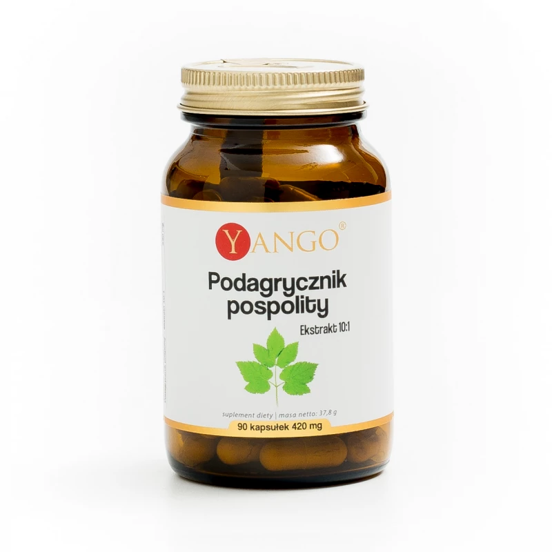 Podagrycznik pospolity - ekstrakt - 90 kaps.