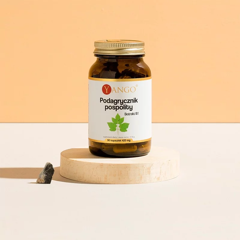 Podagrycznik pospolity - ekstrakt - 90 kaps. - obrazek 2