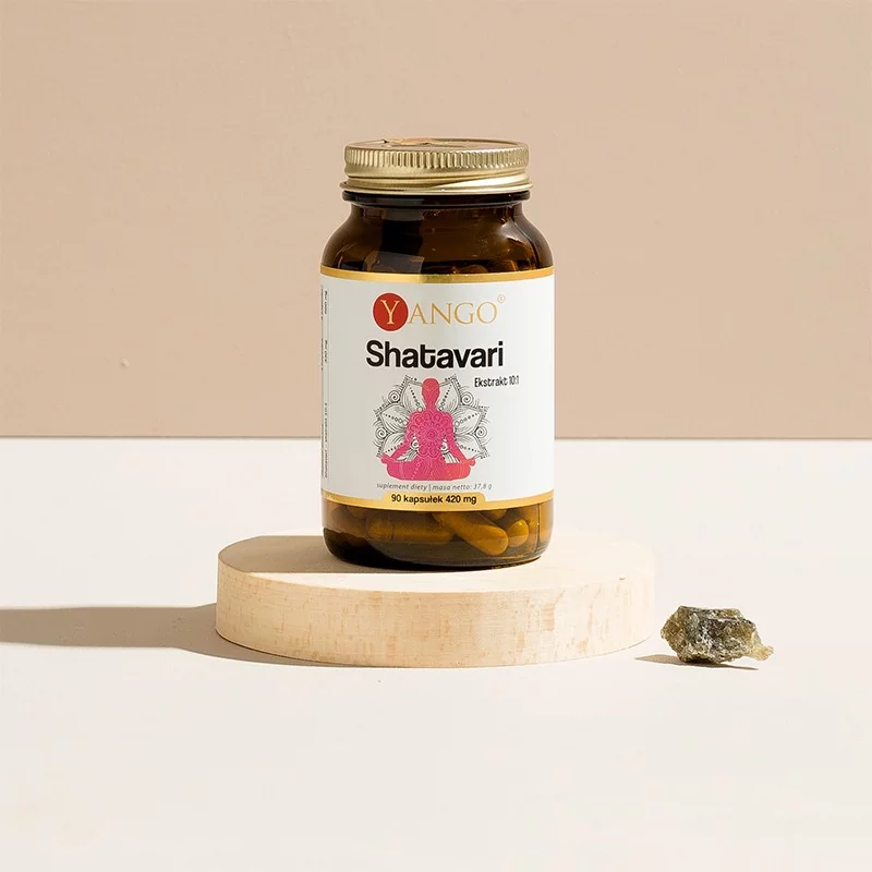 Shatavari - ekstrakt 10:1 — 90 kaps. - obrazek 2