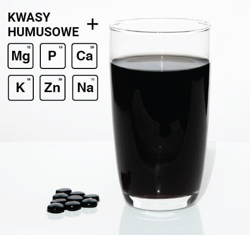 Mumio Shilajit oczyszczone - suplement diety na układ kostno stawowy i immunologiczny. 60 tabletek x 0,2 g - obrazek 2