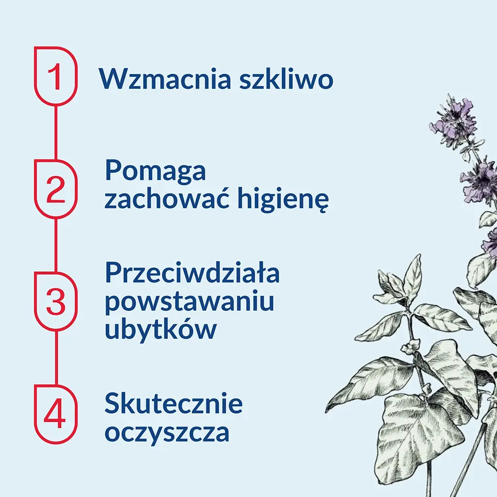 SYLVECO Naturalna pasta do zębów - obrazek 5