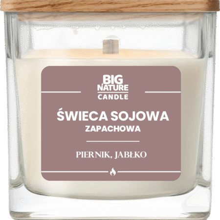 Świeca sojowa o zap. Piernik i Jabłko 220g