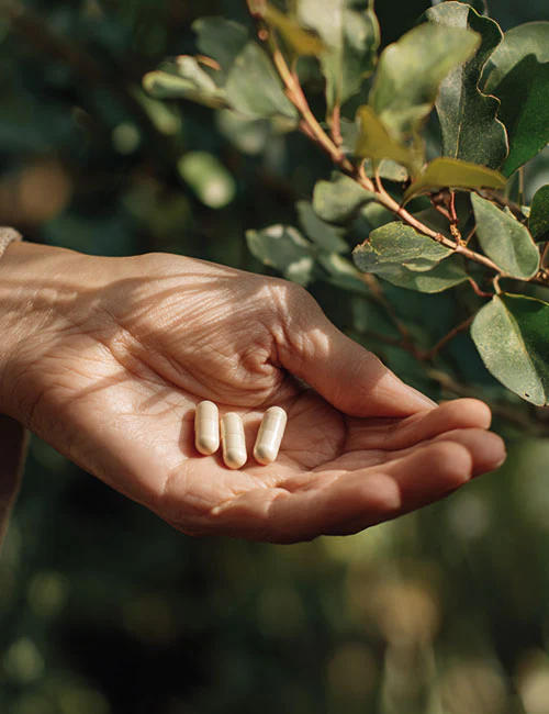 Potas Forte Biowen - 100 kapsułek - obrazek 5